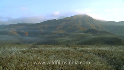 Dzukou valley-9