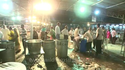 Fish remedy-hyderabad-17