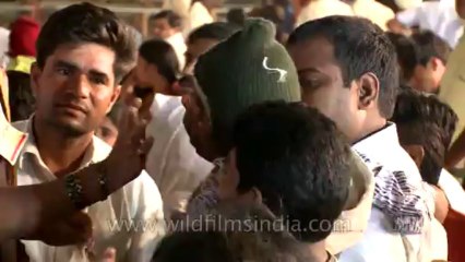 Fish remedy-hyderabad-21