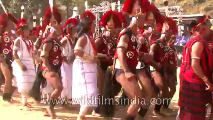 Hornbill Festival-North East-Tape-19-14