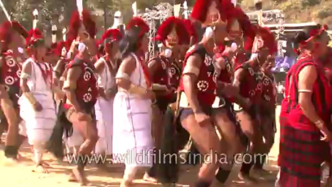 Hornbill Festival-North East-Tape-19-14