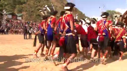 Hornbill Festival-North East-Tape-19-15