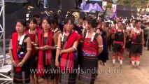 Hornbill Festival-North East-Tape-19-2