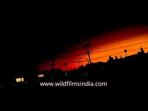 Utility pole supporting wires for electrical power distribution : USA