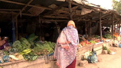 Manipur-Senapati market-Hdv-tape-27-5