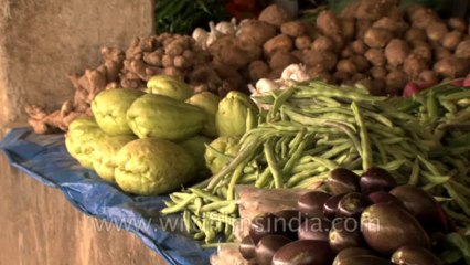 Manipur-Senapati market-Hdv-tape-27-9
