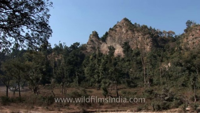 Mussoorie-Himalayan education-hdv-tape-national park-1