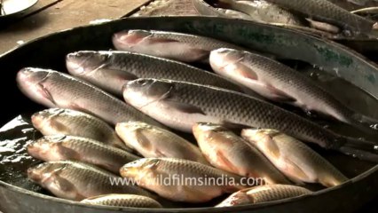 Manipur-senapati-Market