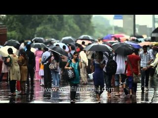 A sea of umbrellas along the Ring Road, New Delhi
