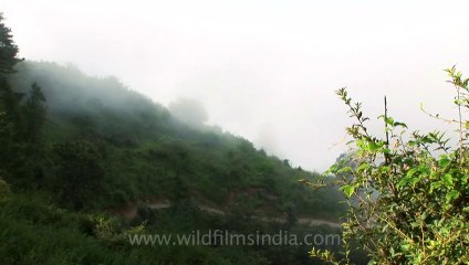 Mussoorie-clouds