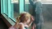 Little Girl and Baby Gorilla Become Friends at the Zoo