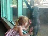 Little Girl and Baby Gorilla Become Friends at the Zoo