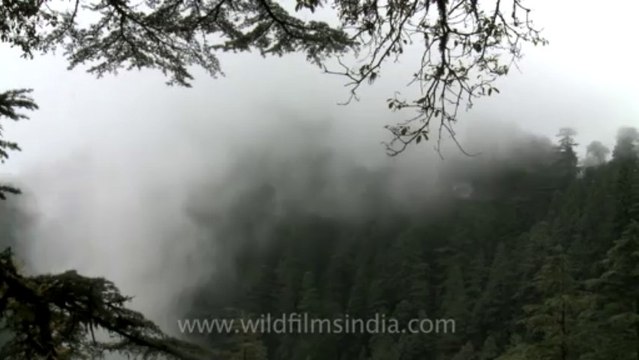 Mussoorie-Dalai lama-Time lap