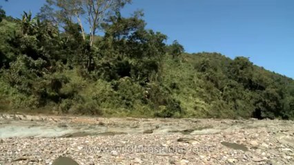 Nagaland-Doyang river-11