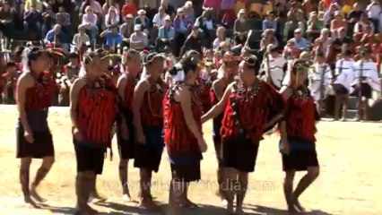 Nagaland-hornbill festival-Ao tribe-Tug of war-Arr Sayiba-5