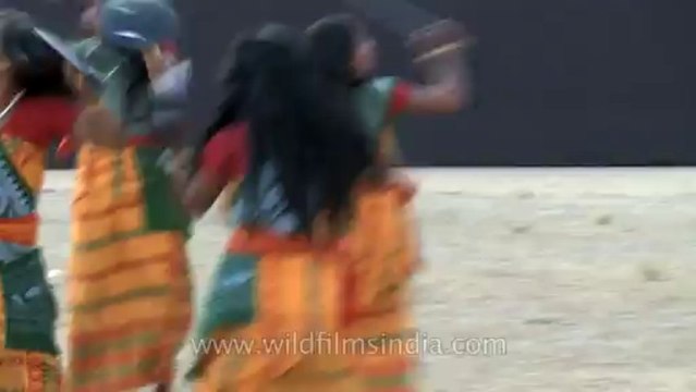 Nagaland-hornbill festival-Assam cultural troop-3