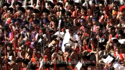 Nagaland-Hornbill festival-opening ceremony-23