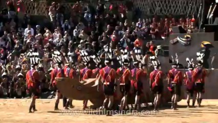 Nagaland-Hornbill festival-opening ceremony-3-rengma tribe