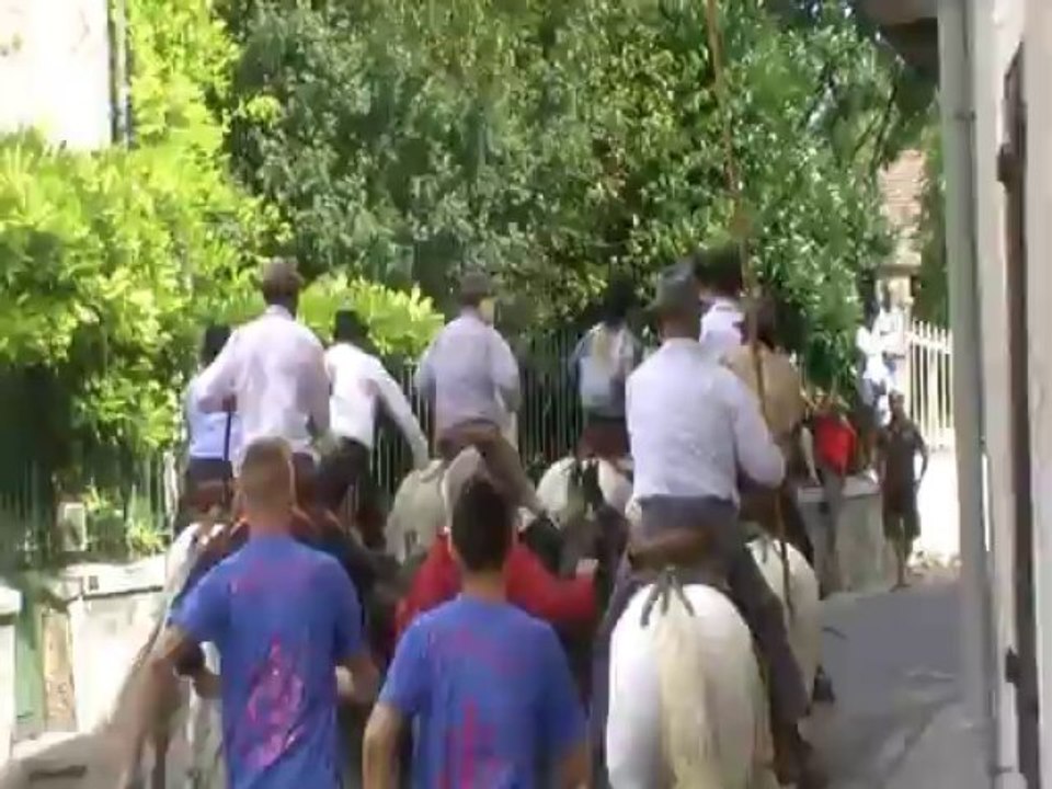 Festival d'Abrivade à St Chaptes