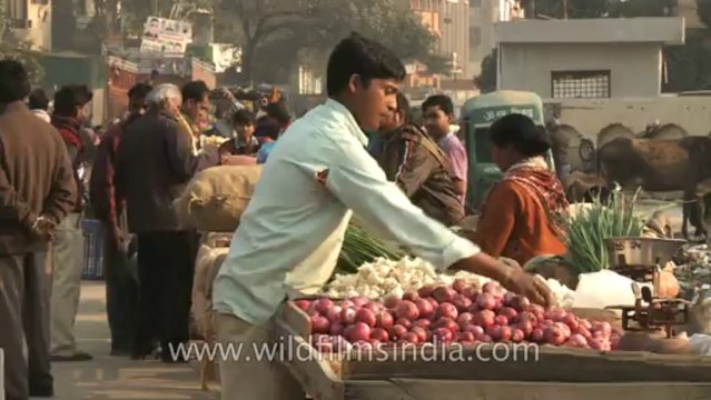 Okhla-metro station-market place-3