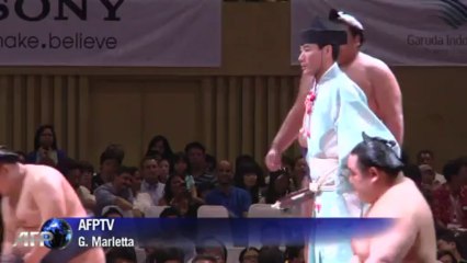 Concours de sumo en Indonésie, le premier depuis 5 ans