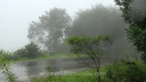 Pune-Mahabaleshwar-rain-4