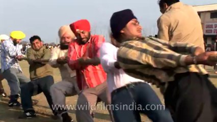 Rural Olympics-HDV-525-tug of war-1