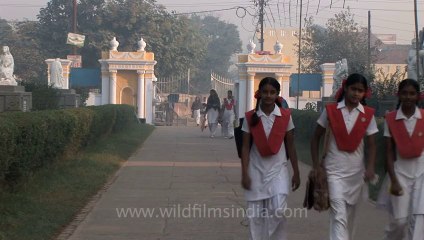 Sardhana-Basilica Of-Our Lady Of Graces-Meerut-8