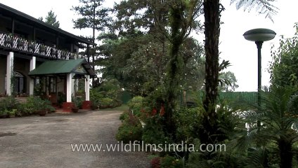 Sikkim-Flowers-HDV-543-1-13