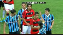 August 2013 - Brazil Serie A- Flamengo vs Gremio 2nd half