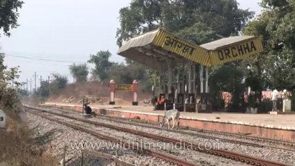 Train-Orchha station-hdv-1