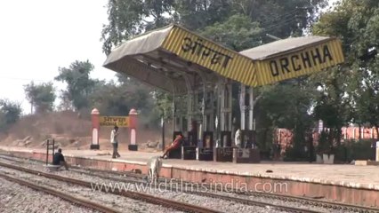 Train-Orchha station-hdv-2