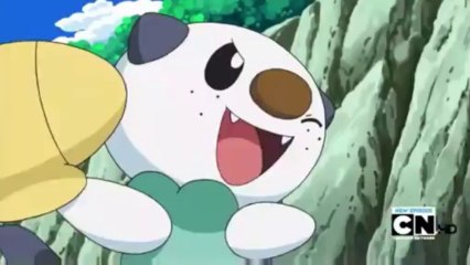 Camera shy MEP for JazmineThePkachu part 15 (Oshawott X Emolga)