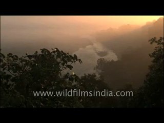 Corbett-DVD-117-3