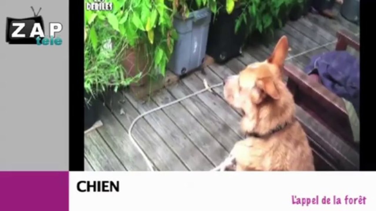 Zapping du net du 27 août 2013