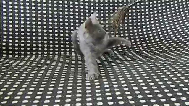 Inox des Rives d'Estaing