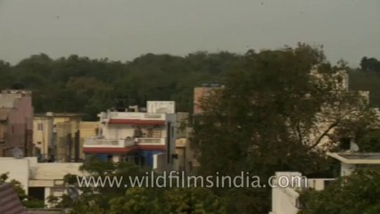 Humayun Tomb-Nizamudin-1