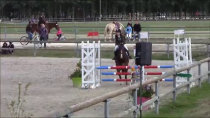 Sologn Pony P2B 25 08 13