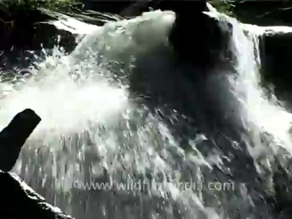 DVD-69-j&k-amarnath-8-7