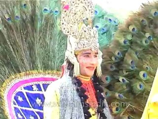 Festivals-Elephant-DVD-95-27