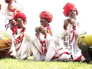 Festivals-Elephant-DVD-95-34