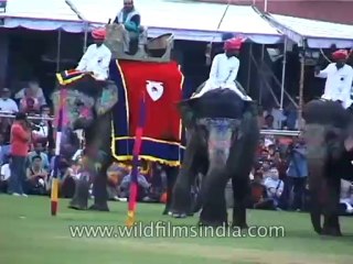 Festivals-Elephants-DVD-95-38