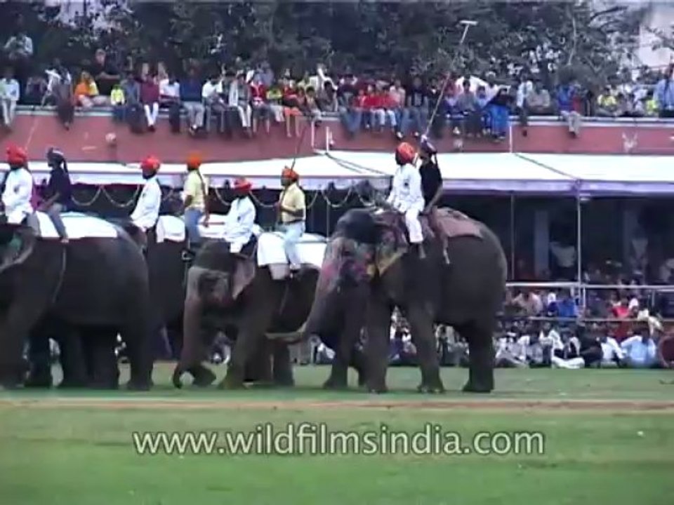 Festivals-Elephants-DVD-95-39