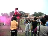 Festivals-Holi-DVD-95-18