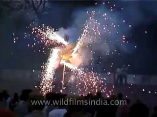 Festivals-Holi-DVD-95-24