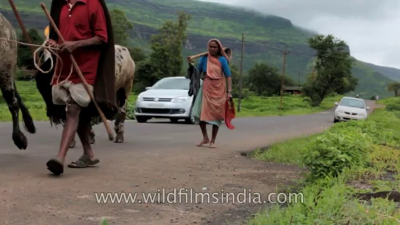 Ghoti-Bhandardara-12