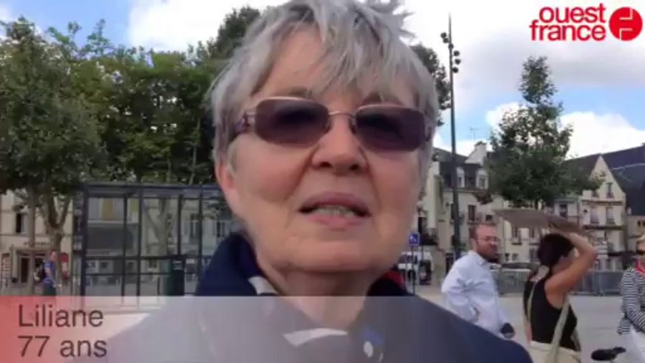 Câlins gratuits à Vannes : un succès ! - Câlins gratuits à Vannes : un succès !