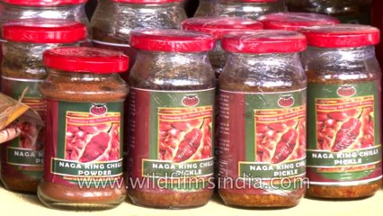 Hornbill Festival-North East-Stall-Tape-19-21