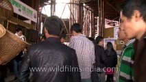Hornbill Festival-North East-Stall-Tape-20-2