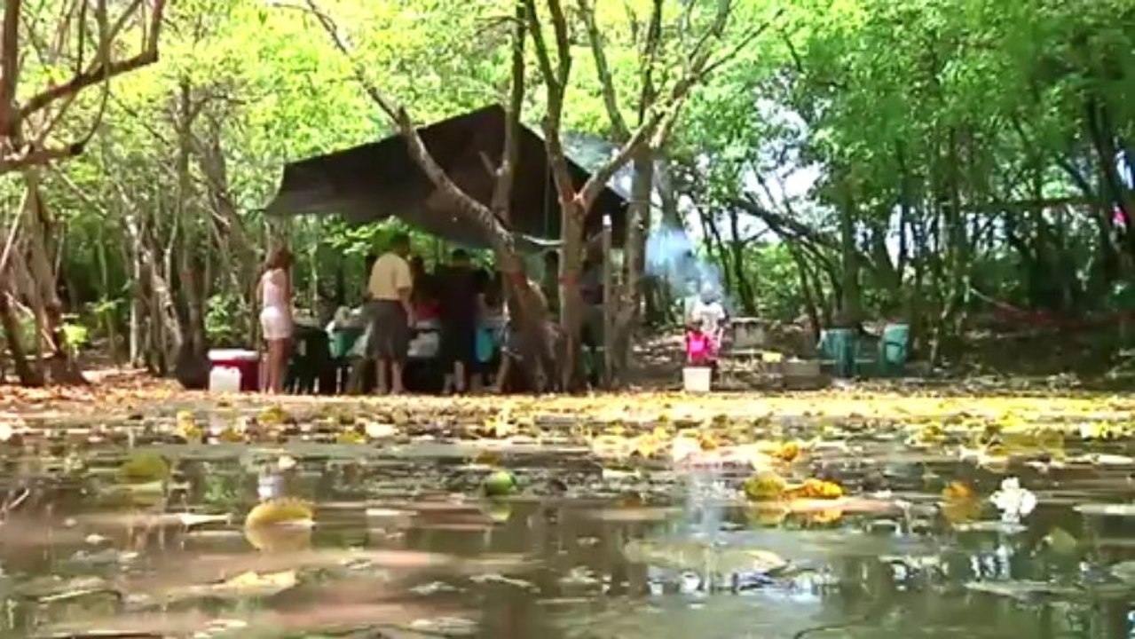 Reportage : comment profiter de la fin des vacances en Martinique